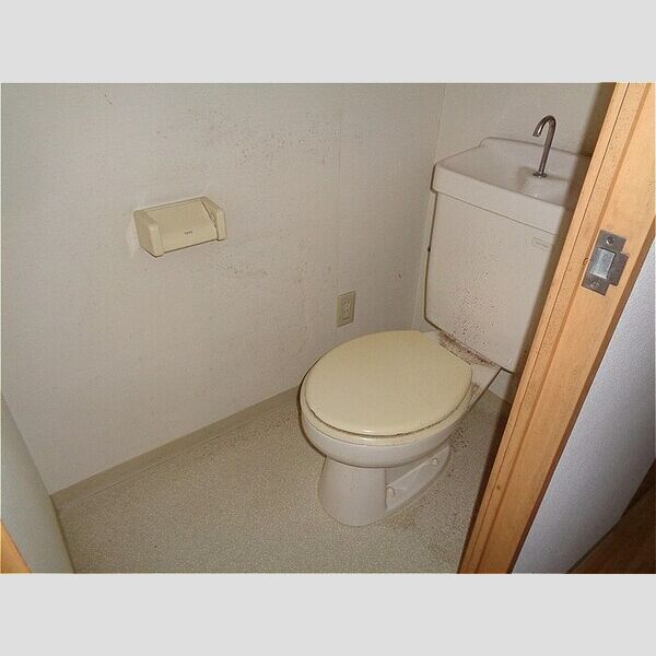 カーサフィオーレ405号室 トイレ