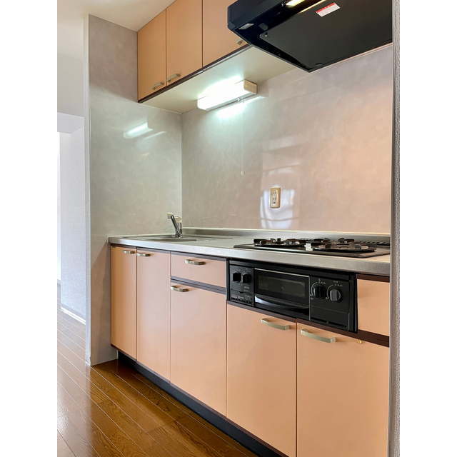 スクリップス101号室 ☆システムキッチン