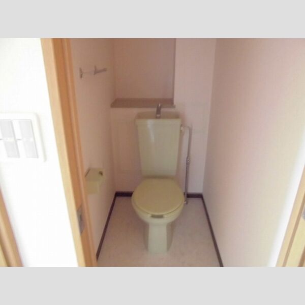 ロイヤルティアラ405号室 トイレ