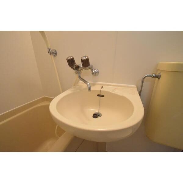 アネックス北与野105号室 洗面