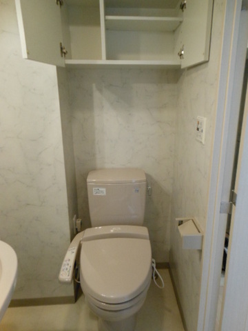 ガラ・グランディ日本橋9階 トイレも気になるポイント