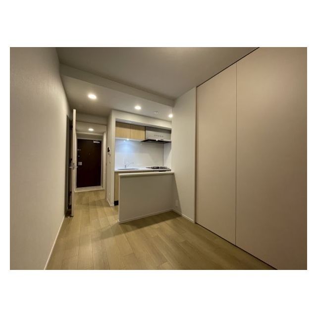 ブランシエスタ荻窪0101号室 リビング