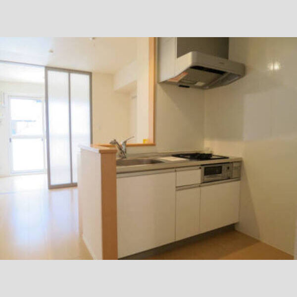 モナリエ　カワムラ102号室 キッチン(102)