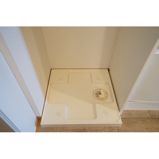 プレミアムバリュー板橋徳丸0101号室 室内洗濯機置場