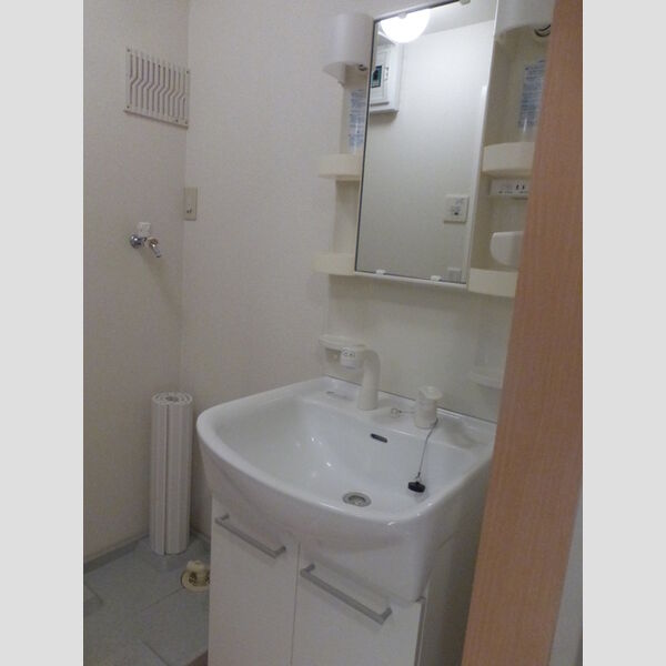 セジュールZEN　参番館307号室 洗面室