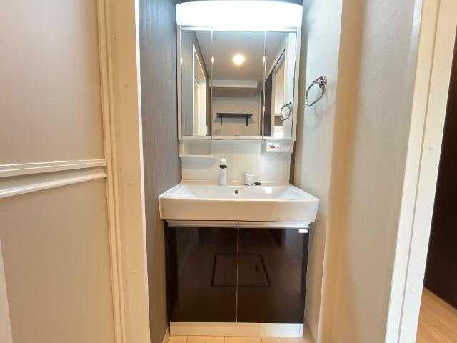 Ｇｌａｎｚ　-グランツ-105号室 洗髪洗面化粧台