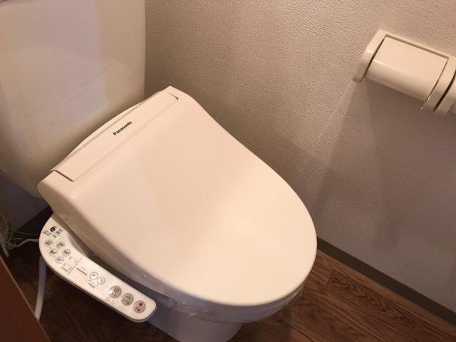 イズミガーデンヒルズ206号室 シャワー付トイレ