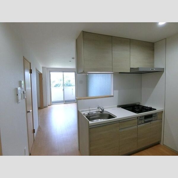 TERRACE　WELLNESS205号室 LDK(対面キッチン)