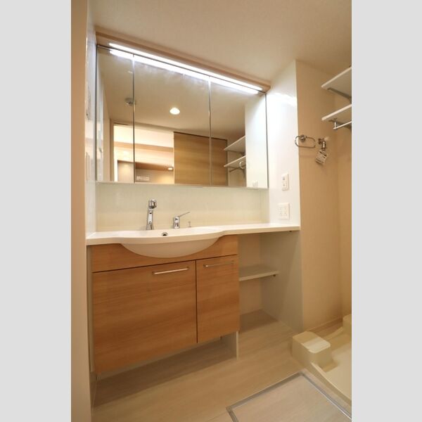 メゾンヴィクトワール梶ヶ谷206号室 洗髪洗面化粧台