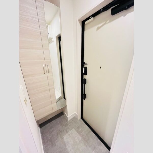 ファンウェーブ湘南藤沢105号室 玄関