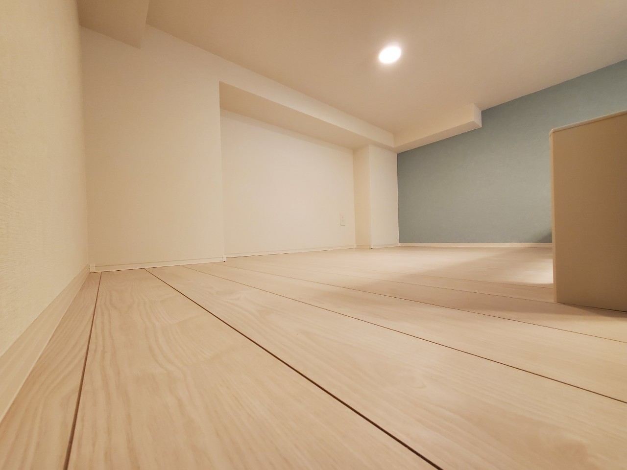 レインパレス西大島0101号室 内観