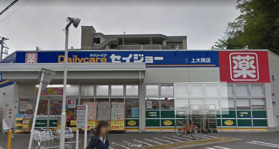 アリア・グランデ上大岡101号室 【ドラッグストア】セイジョー上大岡店まで328ｍ