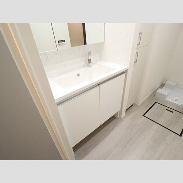 グレイスフルコート雅301号室 洗髪洗面化粧台