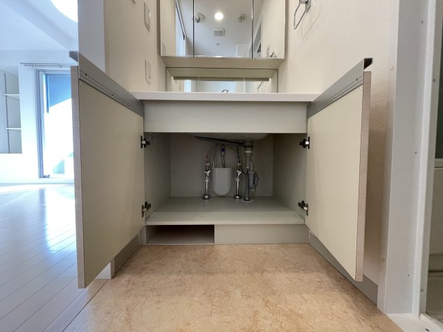 グラントゥルース東向島502号室 収納