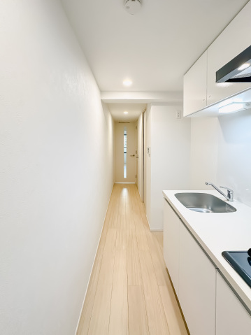 スカイコートリュクス品川大崎203号室 内観