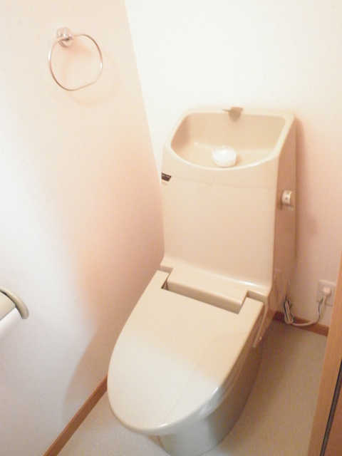 メゾン出雲0201号室 トイレ