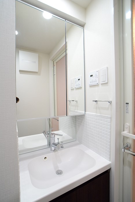 ステージグランデ向島 ※カラータイプは白です