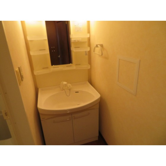 西川ビル0601号室 独立洗面台