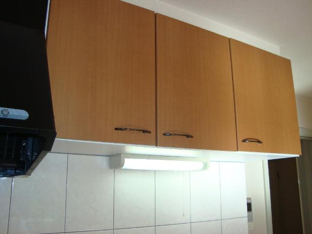 スプリングチェリーⅡ キッチン吊戸棚