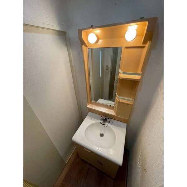 メゾングロワール0101号室 洗面