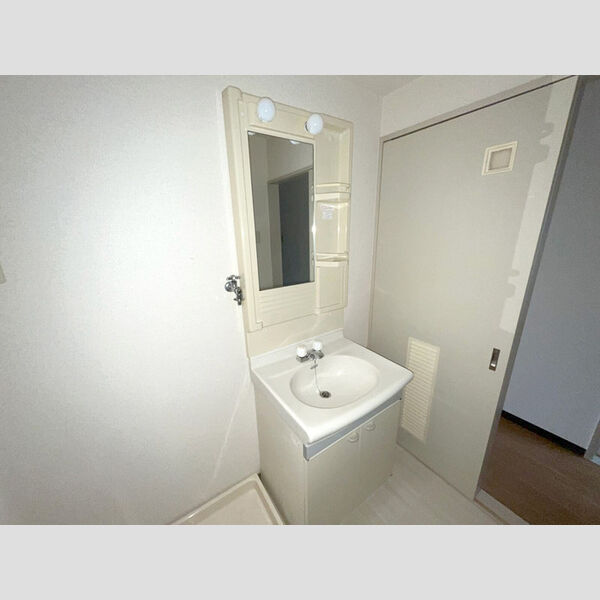 エクセルハイム海宝304号室 洗髪洗面化粧台