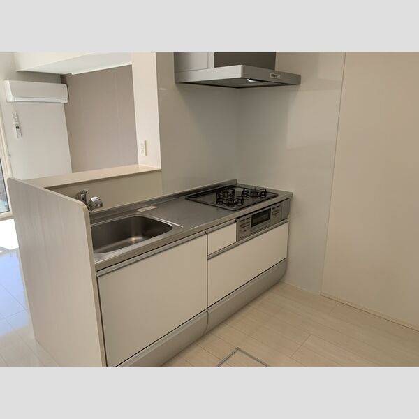ロイジェントパークス レイクタウン Ⅲ　G103号室 システムキッチン