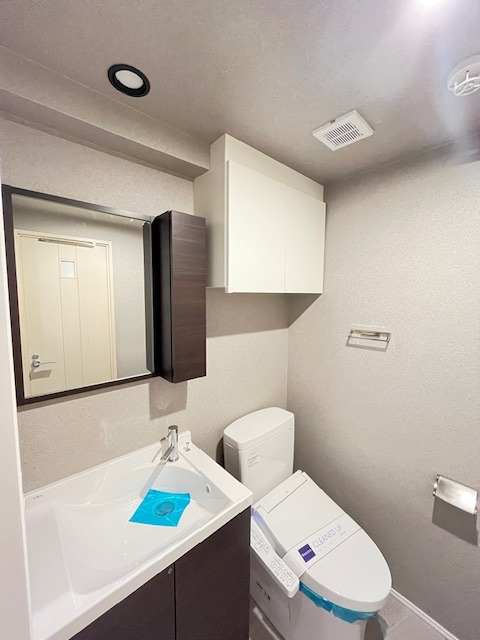 レジディア桜上水 洗面