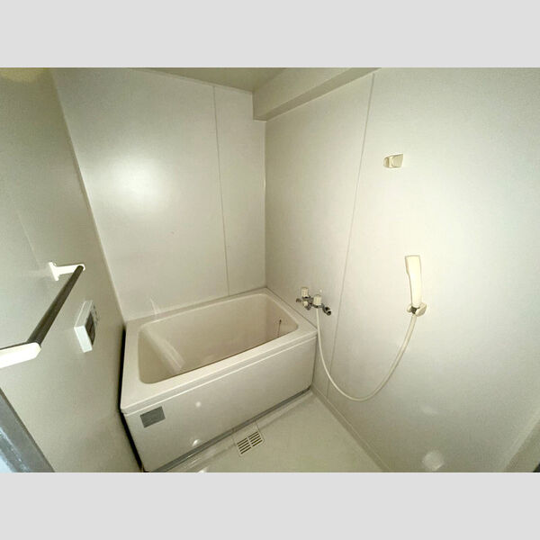 エクセルハイム海宝304号室 浴室