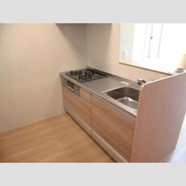 シャトーフェニックスⅡ　B 対面システムキッチン