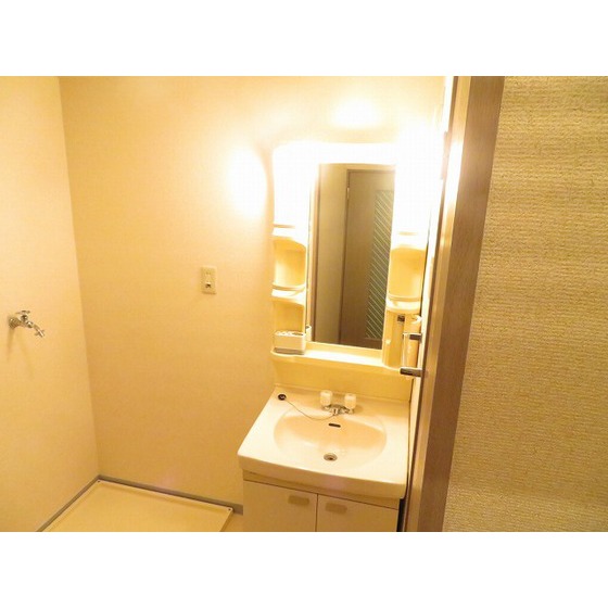 ポポラーレ壱番館0102号室 独立洗面台