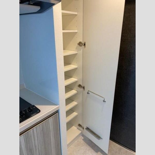 S-RESIDENCE川口Luchia504号室 洗面