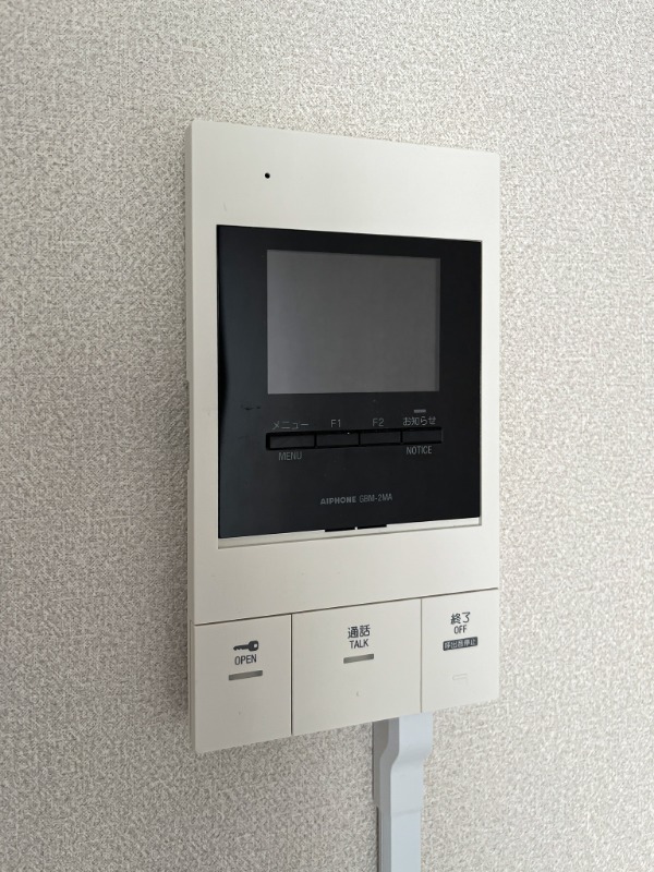 ウィルテラス東上野10階 部屋その他