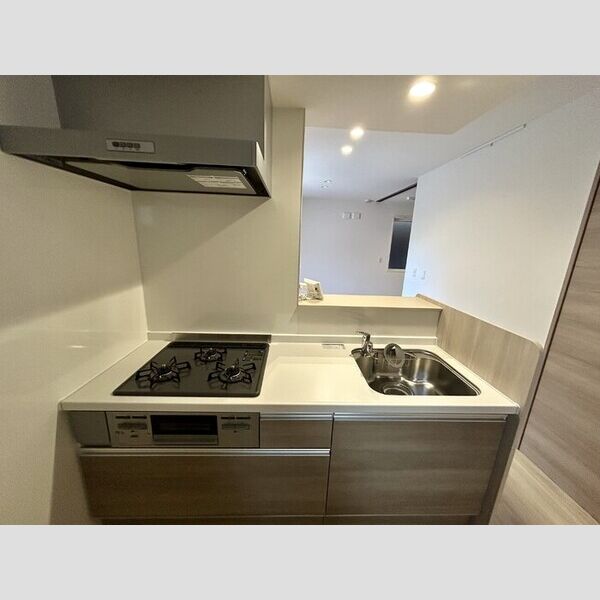 プラージュ津田沼101号室 システムキッチン