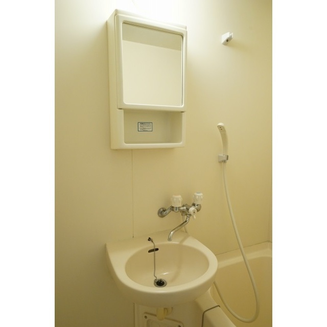 ヴィレッジ・イン・富士見丘0302号室 洗面台