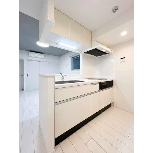CASA PIAZZA 桜新町0101号室 内観