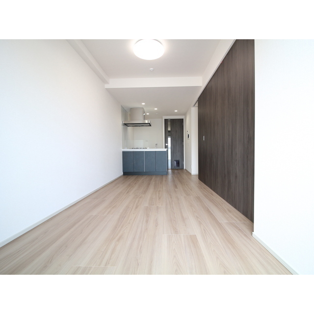 プレール・ドゥーク亀戸Ⅵ1102号室 LDK約10.9帖