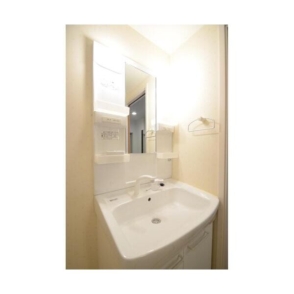 グリュース102号室 洗面