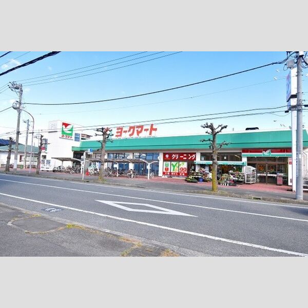 楓 ヨークマート(物件より徒歩約11分、約830m)