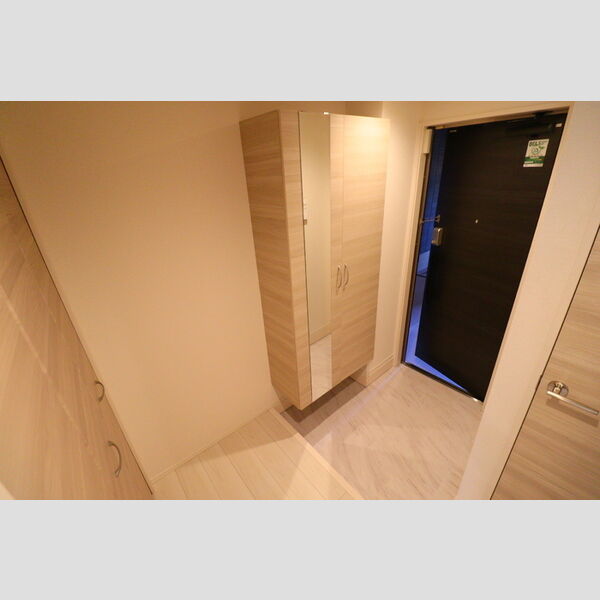 D Paina 宿河原7102号室 玄関