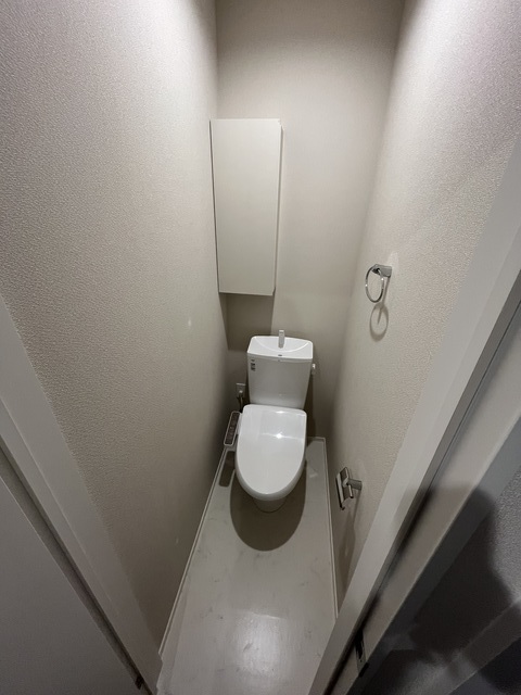 Plumeria　Y・K 別階参考写真