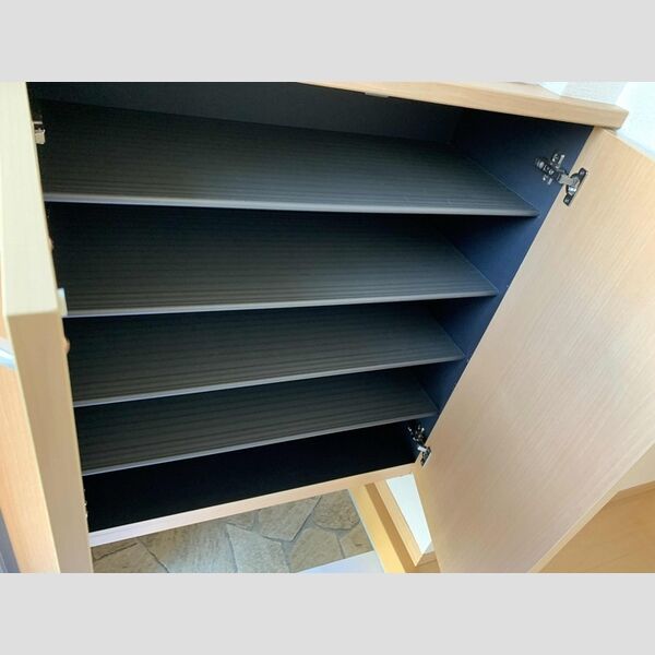 ボンヌール　アビタシオン203号室 シューズボックス