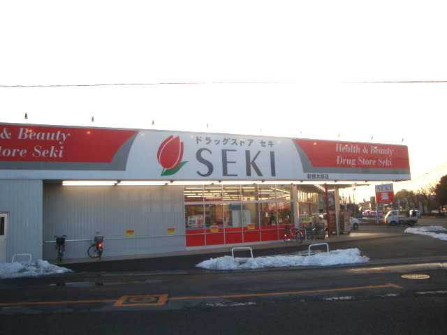 仮称）岩槻区太田アパート新築工事 ドラッグストアセキ岩槻太田店まで89ｍ