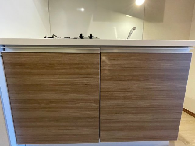 DIPS大山東町2303号室 キッチン