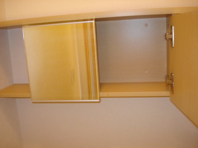 グランドソレイユ105号室 トイレ収納