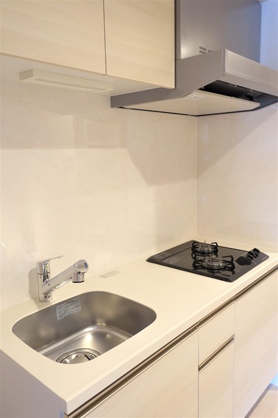 ロイジェント新高島平3階 同建物別部屋の参考画像