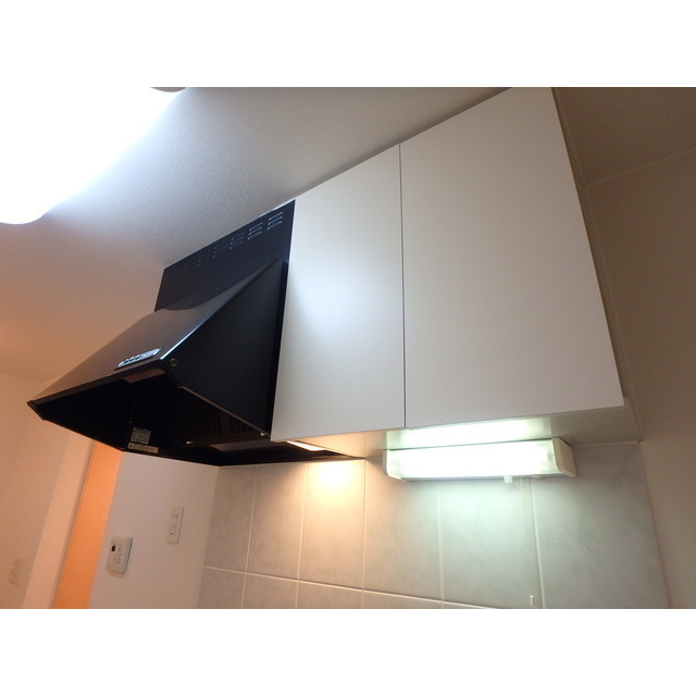 アンモードイグサ１105号室 レンジフード・吊戸棚
