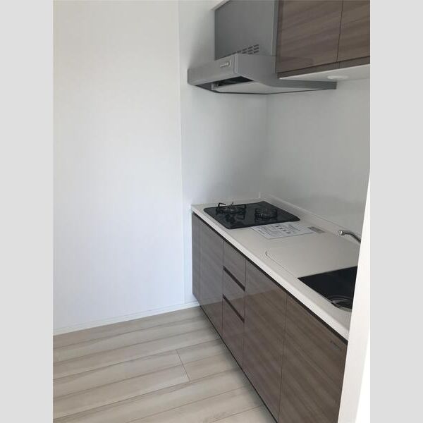 S-RESIDENCE押上Blossom601号室 トイレ