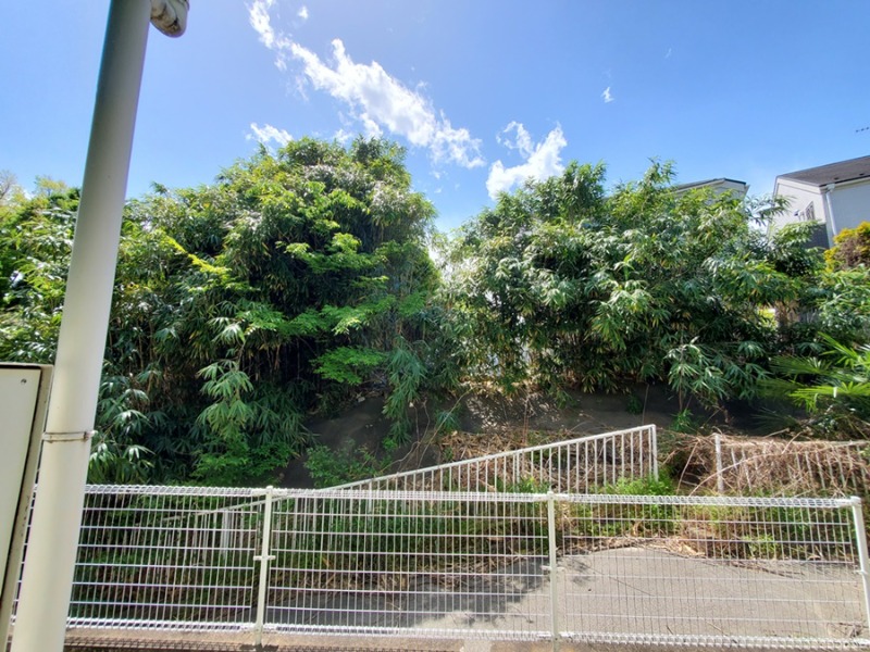 コーポラスカイトA1階 景色