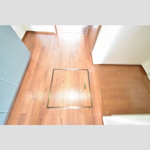 マ・メゾン ASUKA Ⅱ106号室 床下収納