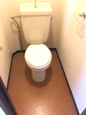 スプリームヒル201号室 トイレ